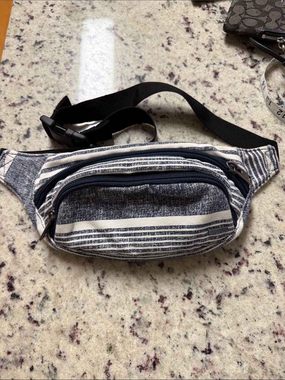 Roxy Striped Canvas Waist Bag - Blue and White